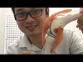 Lagu Dr Tan Balance Acupuncture Instant Relief Knee Pain-live video