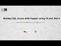WebApi data access using Dapper in C Net 6