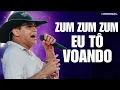 Download Lagu NATANZINHO LIMA - ZUM ZUM ZUM EU TÔ VOANDO (REPERTÓRIO NOVO)