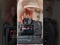 Download Lagu How to get sharp photos on your Canon R6 #bokehbiz #camerasettings #photographytips