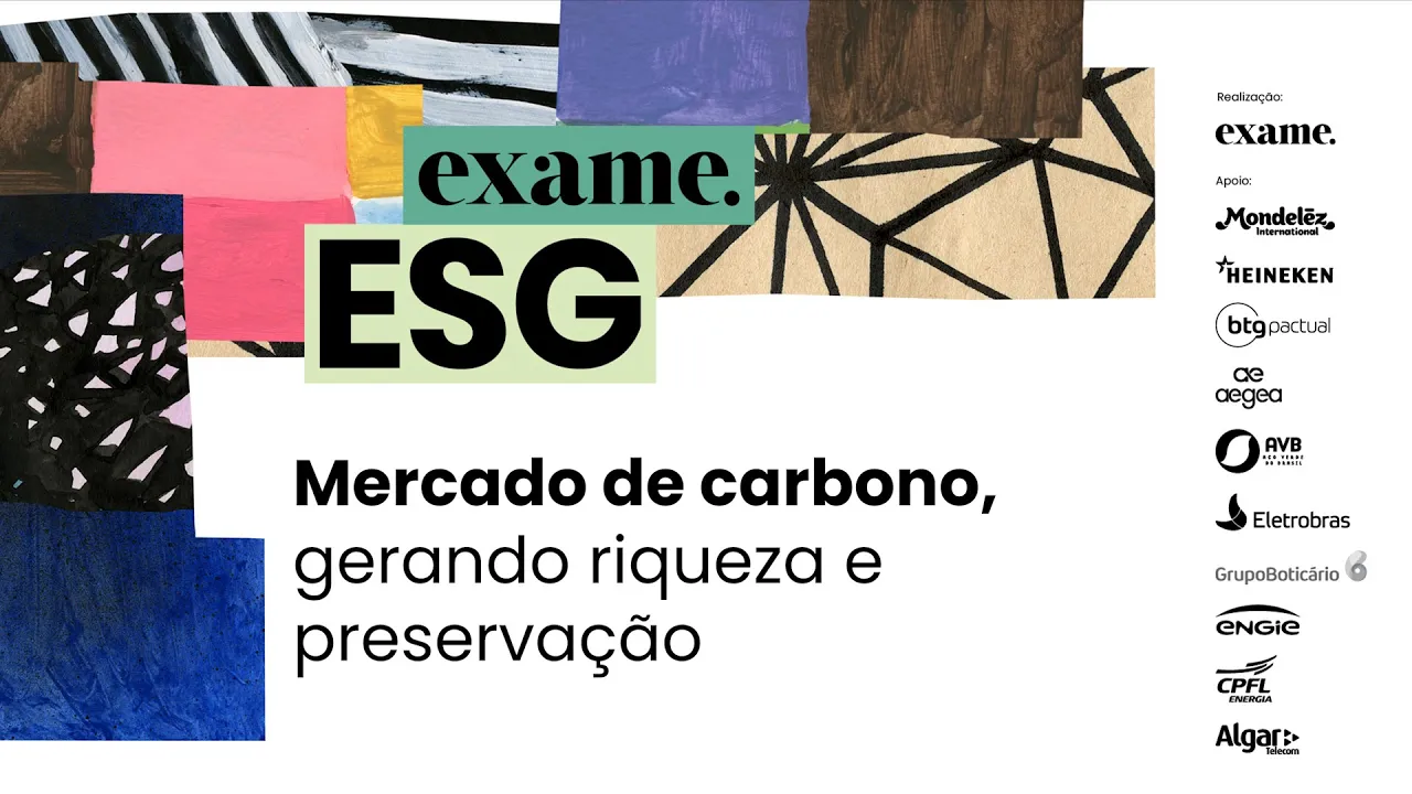Mercado de carbono, gerando riqueza e preservação