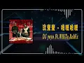 玖壹壹 - 啪哩啪哩 (DJ yoyo Ft.WHiTe ReMix)