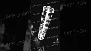 شرف حبيب القلب 