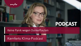 Keine Panik wegen Dunkelflauten | Kemferts Klima-Podcast | MDR