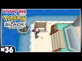 Using Surf To Check Out Some New Places Pokemon Black
