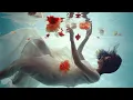 Download Lagu センチミリメンタル 『対落』 Music Video
