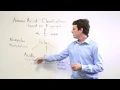 Amino Acids Polar vs Non-Polar Acidic Basic and Neutral