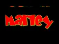 Julian Marley - Things aint cool anymore.mpg