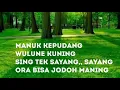 Download Lagu Manuk Kepudang – Lirik