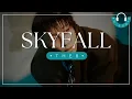 SKYFALL - SEVENTEEN (세븐틴) - 8D AUDIO🎧