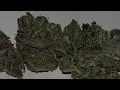 Watermelon Rush by Fifty Fold Watermelon Zkittlez x Tropicana Zkittlez