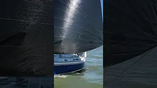 Close Winter Sailing on Galveston Bay #shorts #racing