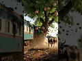 Download Lagu Grandmother and cow planted a mango tree 😭 #goat #grandmother #ai#shortfeed #shorts #goviral