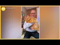 25-pound cat Pumpkin is winning the battle of the bulge