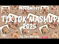 Tiktok Mashup November 🤎2025🤎 (Not Clean)