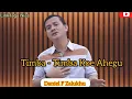 Download Lagu Lagu Nias || Timba - Timba Koe Ahegu - Daniel F Zalukhu (lirik)