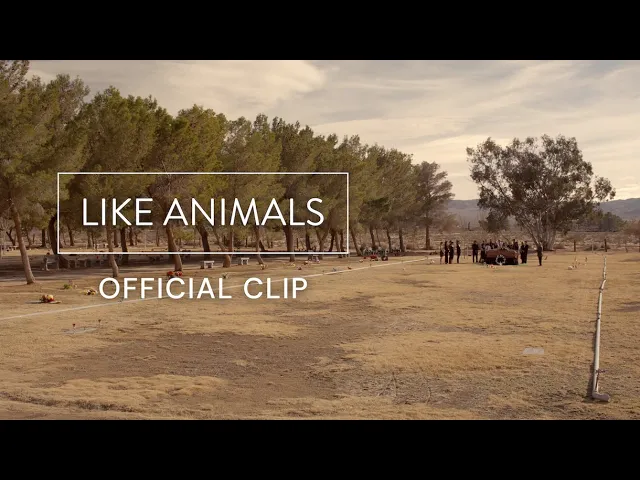 Like Animals | Official Clip