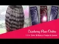 Ion Color Brilliance Purple Garnet Ombre