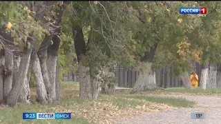 Омичам рассказали, как избавиться от осенней депрессии