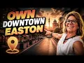 The Lynden Luxury Condos Tour Living in Downtown Easton Easton PA Real Estate