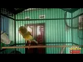 Download Lagu KENARI LAGU MEWAH ROKIB CANARY
