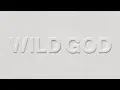 Download Lagu Nick Cave \u0026 The Bad Seeds - Wild God (Full Album Stream)