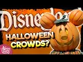 How Crowded is Disneyland at Halloween 2023 Wait Times More