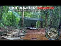 Download Lagu 2 hari dalam hutan Kalimantan berburu ikan di guyur hujan deras sungai banjir panen ikan baung