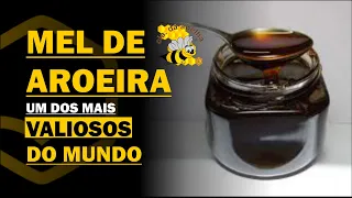 Você conhece o VALIOSO Mel da Aroeira?