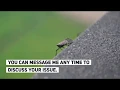 I will fix Wordpress errors Wordpress issues and bugs Web Plus Point