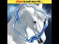 These great horses will remain immortal even after death ЁЯЩПЁЯРО (Maharana Pratap and Chetak) #shorts