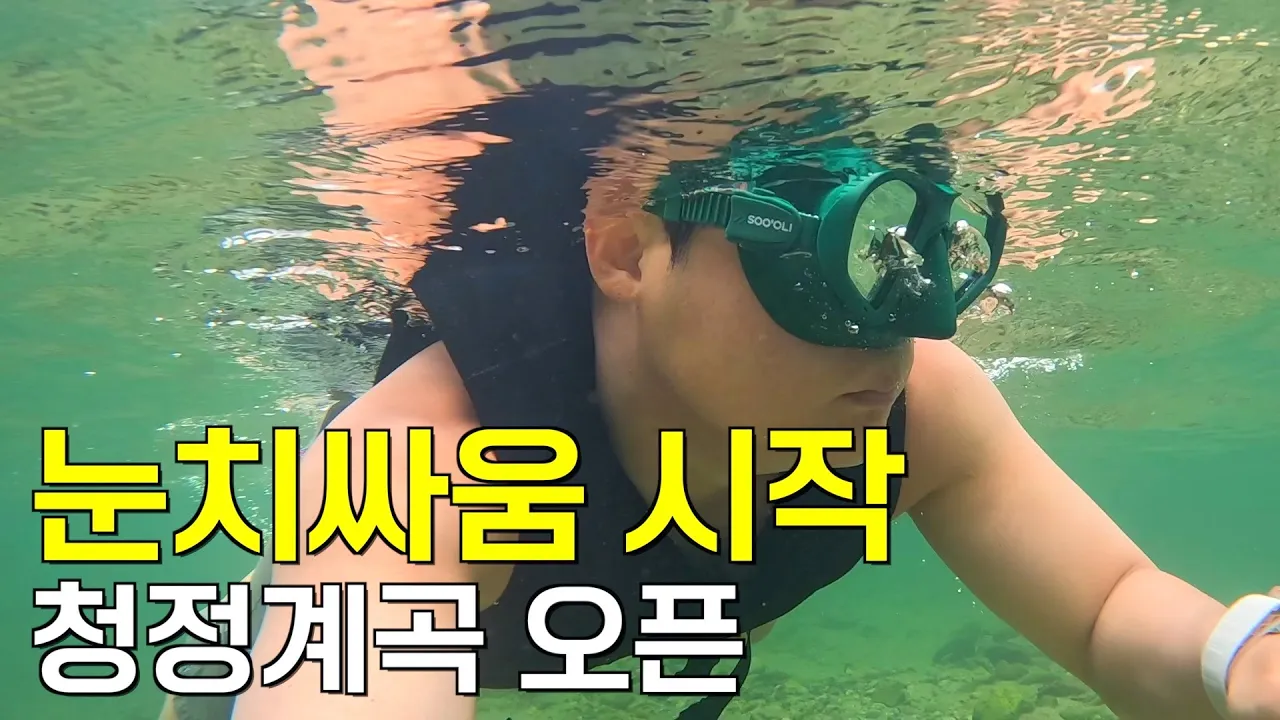 (수심 깊음, 3.2M) 티끌 하나 없이 맑은 프라이빗한 계곡에서 스노클링하기 썸네일