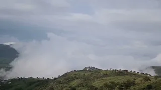 ياعين فيك القلب معجب 