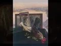 Tom Waits vs Alison Krauss - Trampled Rose