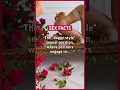 Download Lagu The “doggy style” sexual position, where partners engage in intercourse from behind… #facts #sex
