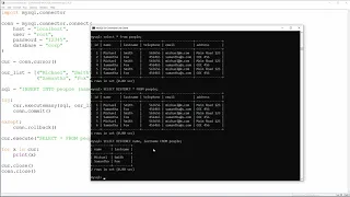 Python MySQL - 11