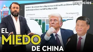 Guerra arancelaria: el miedo de China, la ironía de Sheinbaum y Europa se frota los ojos