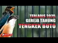 Download Lagu MASTERAN CENDET TERLARIS TENGKEK BUTO SAMBUNG GREJA TARUNG UP TO 2025