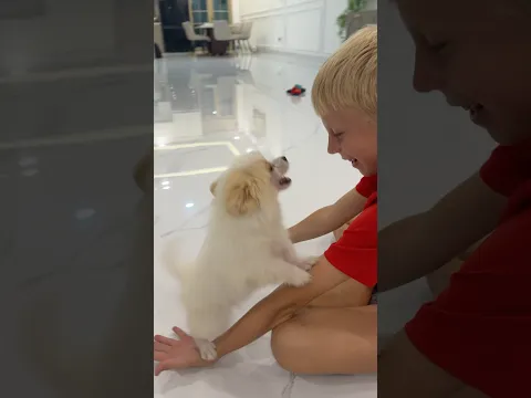 Оставляем ? :) 🐶