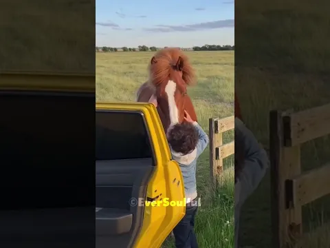 No One Expected The Foal to Remember His Old Friend