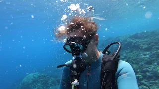 Waiting for wind in PARADISE Episode 88 | Sailing Catalpa