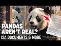 Pandas Aren t Real