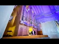 Download Lagu We have NEVER seen an organ like THIS!