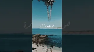 اسكندراني بحر ابيض اصلي يعني بفهم في البحور 