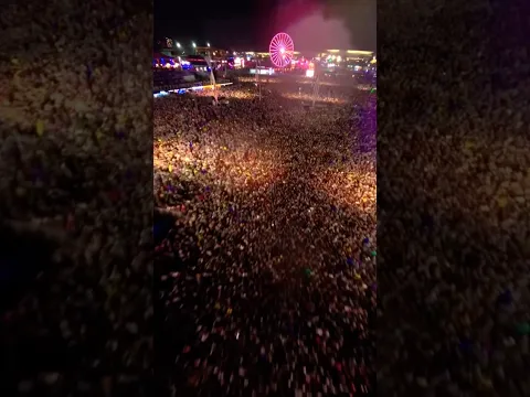Wild scenes once again in Brazil !💚💛💙🤍