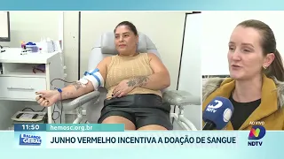 Junho Vermelho: campanha para aumentar doações de sangue em SC