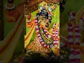 Download Lagu 🌹🥀 Shyam O Nache Rai O Nache Nach Brajo Bala🌹🙏🌺🙏🥀🙏🌹#youtubeshorts #shortsvideo #shorts #subscribe
