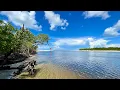 Low Tide at Wiggins Pass in North Naples FL 22