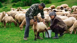 Fresh Sheep Milk Making Traditional Caucasus Cheese 