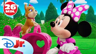 LOS CUENTOS DE MINNIE: Las mascotas más adorables de Minnie y Daisy 🐱😍 | @DisneyJuniorES